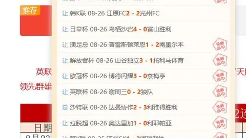贝林厄姆世界杯表现解析：英格兰季军之旅，7进球1助攻成就瞩目